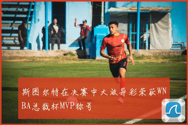 斯图尔特在决赛中大放异彩荣获WNBA总裁杯MVP称号
