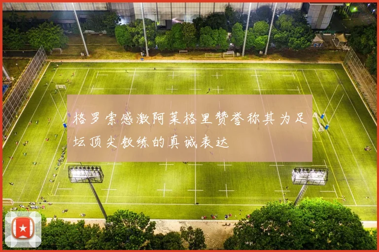 格罗索感激阿莱格里赞誉称其为足坛顶尖教练的真诚表达