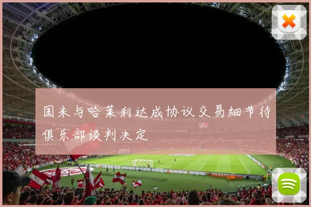 国米与哈莱利达成协议交易细节待俱乐部谈判决定