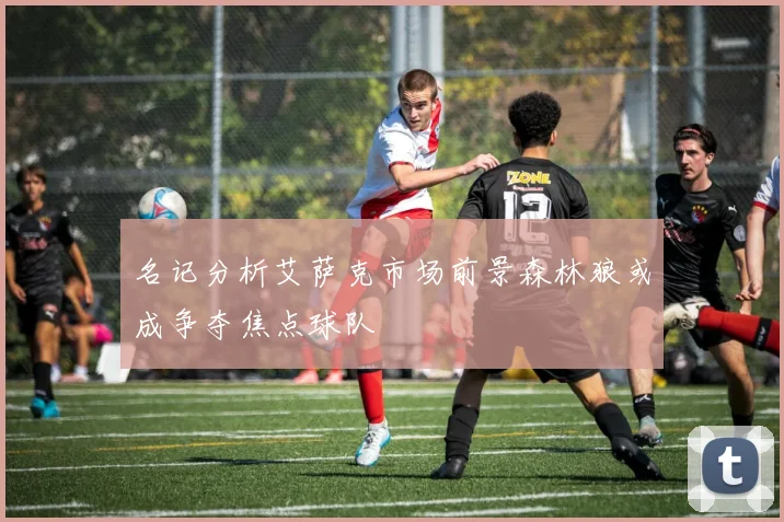 名记分析艾萨克市场前景森林狼或成争夺焦点球队